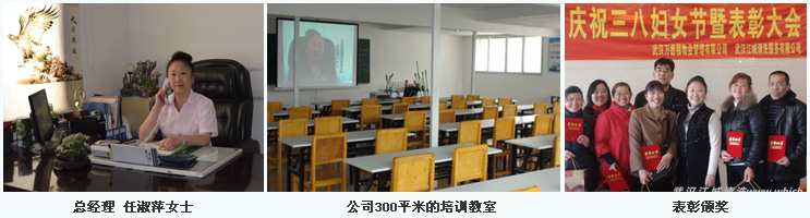 企業介紹