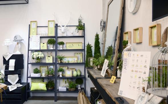 極有家把家居展搬到了何以琛的辦公室里