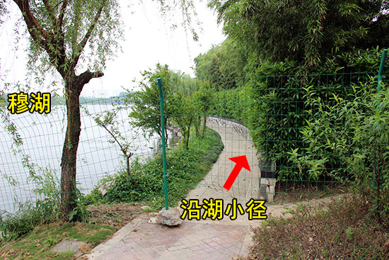 【看房手記】花語湖——穆湖畔的森林住區 把家安在美景中