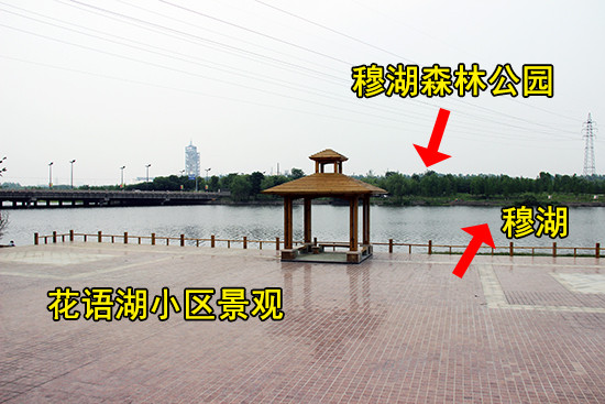 【看房手記】花語湖——穆湖畔的森林住區 把家安在美景中