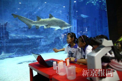 海洋課堂搬進鯊魚館