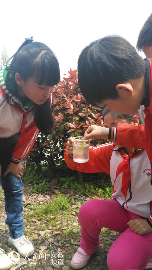 合肥包河區(qū)首創(chuàng)“森林課堂” 學生走進森林探究