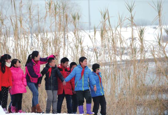 生態課堂搬進國家森林公園