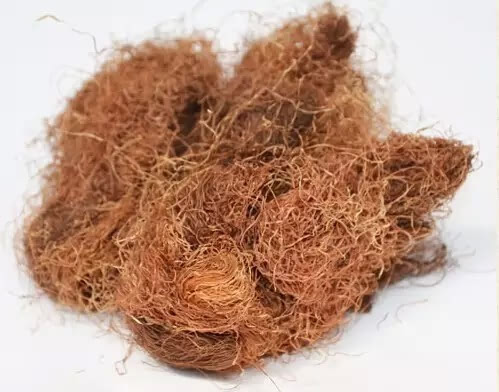 誰說中藥一定苦，這15種居家必備的甜中藥，好吃又治病！
