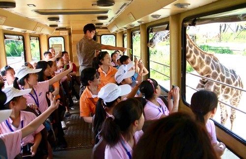 在愛寶樂園里,孩子們近距離接觸野生動物 在愛寶樂園里,孩子們近距離接觸野生動物