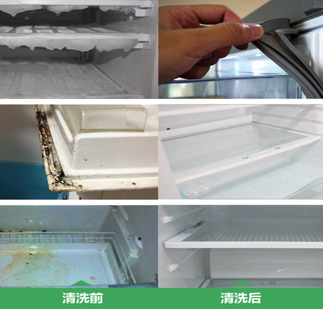 半年不清洗 冰箱變馬桶