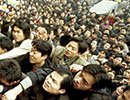 約克郡高層本月銷量再度發(fā)力教育大盤領(lǐng)銜照母山