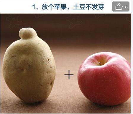 幾個居家必備小常識 讓您的生活更方便（圖）
