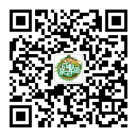 變身小廚師 DIY課堂美食
