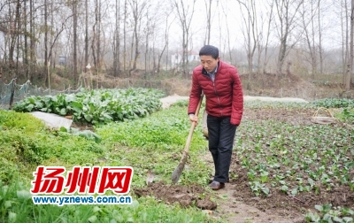 ▲單成學每天回家后還要管理家門前的菜地。 ▲單成學每天回家后還要管理家門前的菜地。