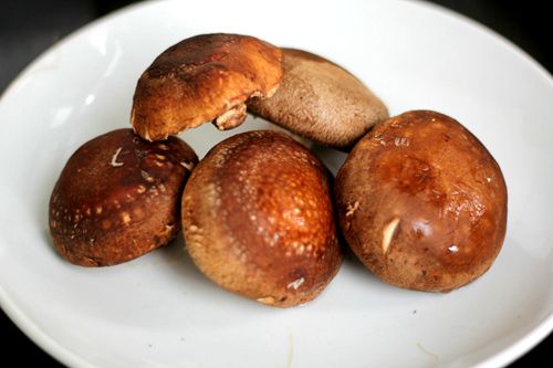 【廚藝課堂】蟲草鮮蝦排骨藕湯