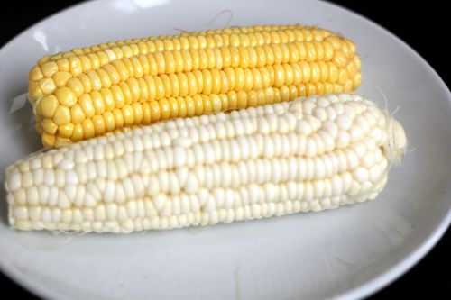 【廚藝課堂】蟲草鮮蝦排骨藕湯