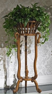植物或季節(jié)性觀賞花卉. 關(guān)于餐廳、臥室的居家風(fēng)水我們再