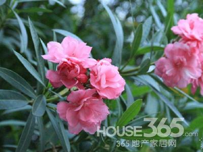 風水禁忌 風水禁忌