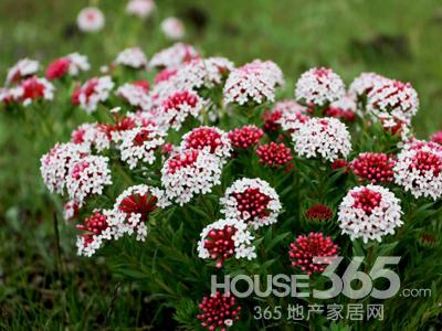 風水禁忌要點 風水禁忌要點