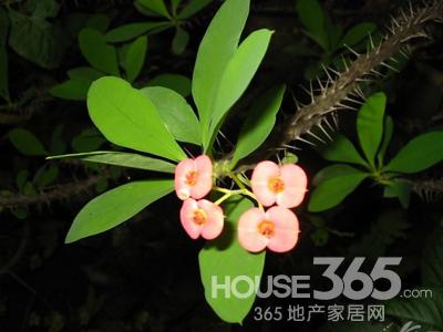 風水禁忌寶典 風水禁忌寶典