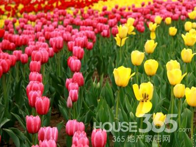 室內禁忌 室內禁忌
