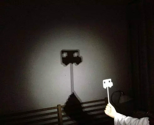 海珠濕地自然課堂: 黑夜里的藝術課