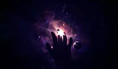 海珠濕地自然課堂: 黑夜里的藝術課