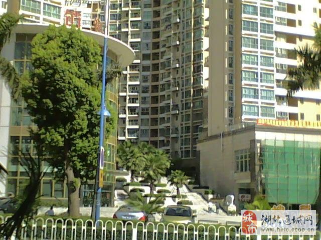 深圳公司招保姆 招保姆記 - 招保姆記小品視頻 - 有招聘保姆的嗎