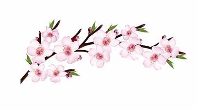 眾所周知,日本是世界上人均壽命最長(zhǎng)的國(guó)家。據(jù)相關(guān)資料顯示,近幾十年來(lái),日本的男性公民平均壽命為75.2歲,而女性公民的平均壽命更高,為80.9歲,即便是在政治、經(jīng)濟(jì)和文化等方面位居第一的美國(guó),也無(wú)法與其比擬。
