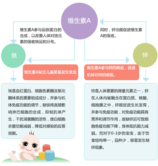 伊可新媽媽課堂:解析增強寶寶“抵抗力”的各類營養素