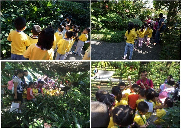 南山佳嘉豪苑幼兒園到仙湖植物園體驗自然科普課堂