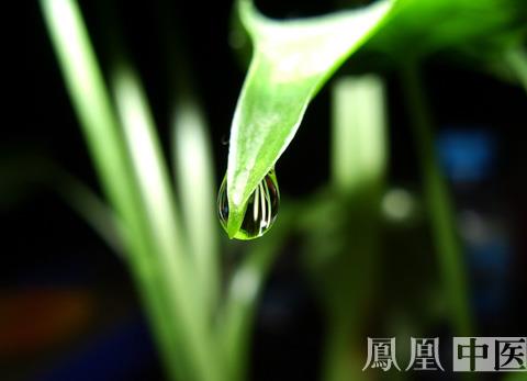秋游貪吃不明植物 兒童頻發中毒事件