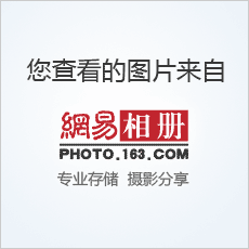 培養(yǎng)幼兒主動探索的學(xué)習(xí)能力