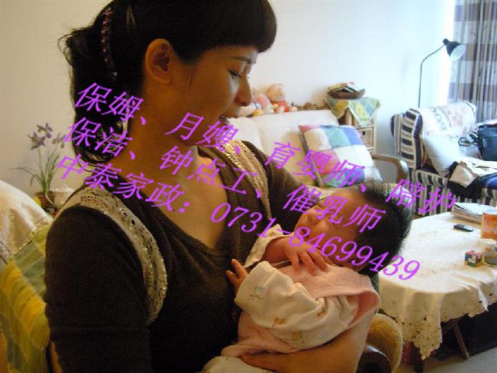 河西找住家保姆芙蓉區(qū)找保姆月嫂